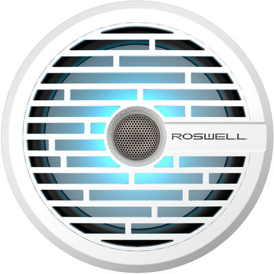 Roswell R1 8" In-Boat Speaker