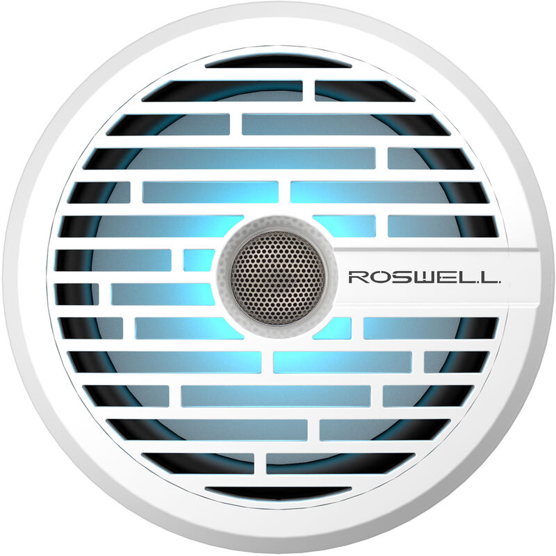 Roswell R1 8" In-Boat Speaker image number 2