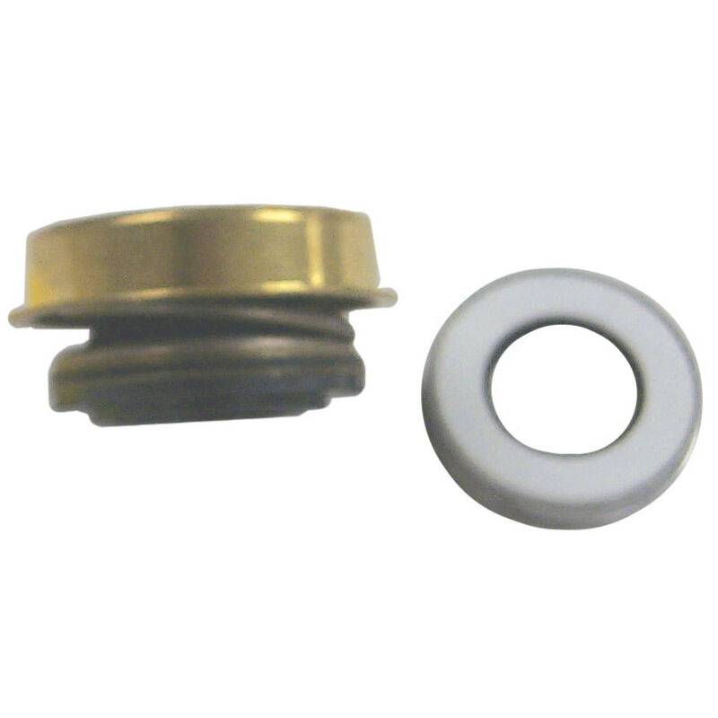 Sierra Seal/Seat Assembly For Sherwood Pump/Crusader, Sierra Part #18-3169 image number 1