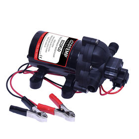 EccoFlo Triplex Diaphragm 12V Pump and Strainer