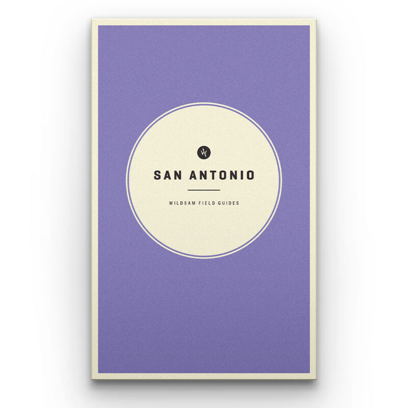Wildsam Travel Guide - San Antonio image number 1