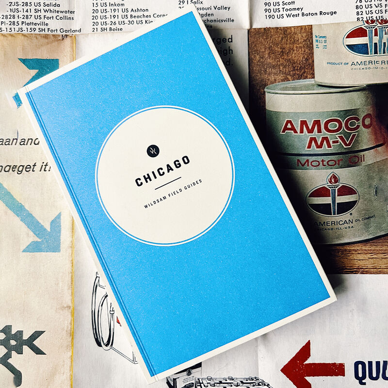 Wildsam Travel Guide - Chicago image number 3