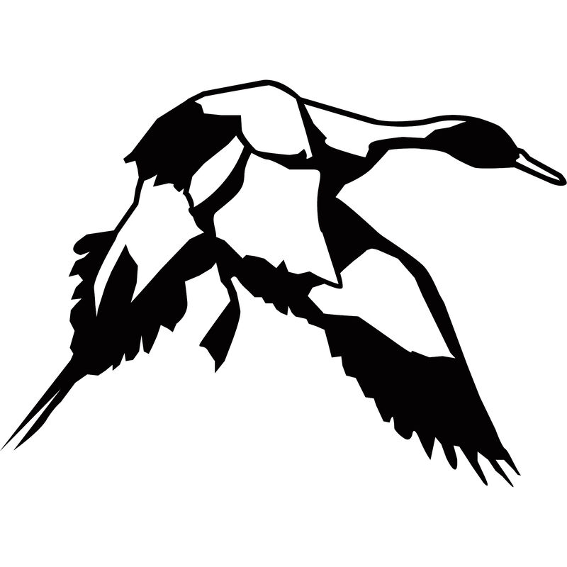 Pintail Vinyl Decal image number 11