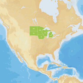 Navionics Hot Maps Platinum Cartography, North