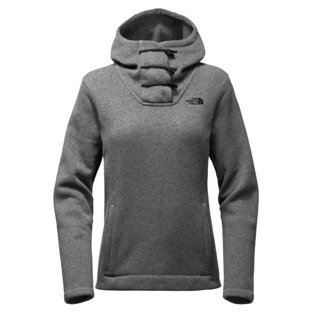 the north face w crescent hooded pullover