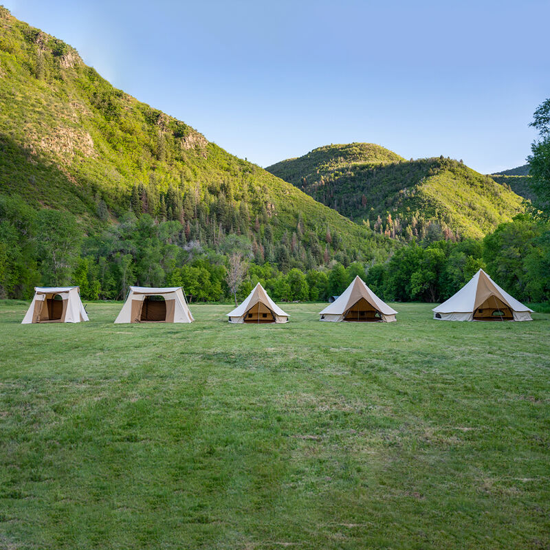 TETON Sports Mesa 14 Canvas Tent image number 6