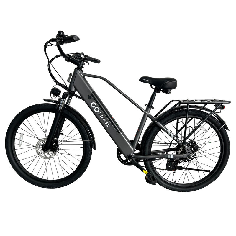 GoPowerBike 26''  GoCargo, 750W, Electric Bike image number 2