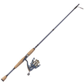 Pflueger President Spinning Combo