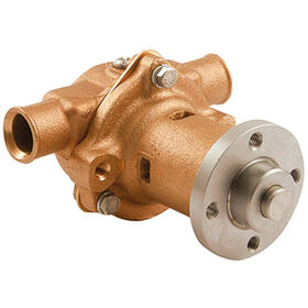 Sherwood Onan Engine Pump, K75B