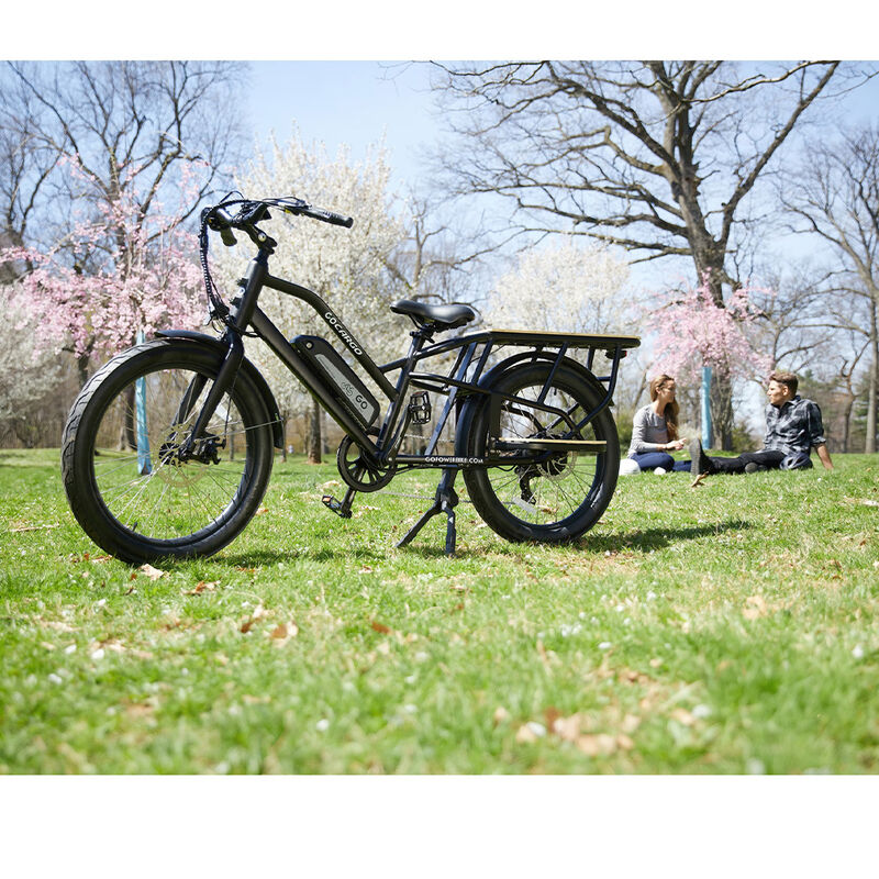 GoPowerBike 26''  GoCargo, 750W, Electric Bike image number 7