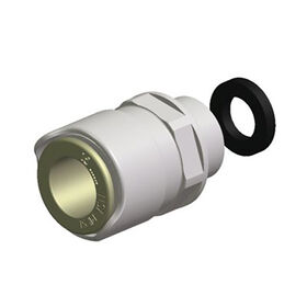 Whale 15mm Male Tap-Tail Adapter Assembly With 1/2" BSP