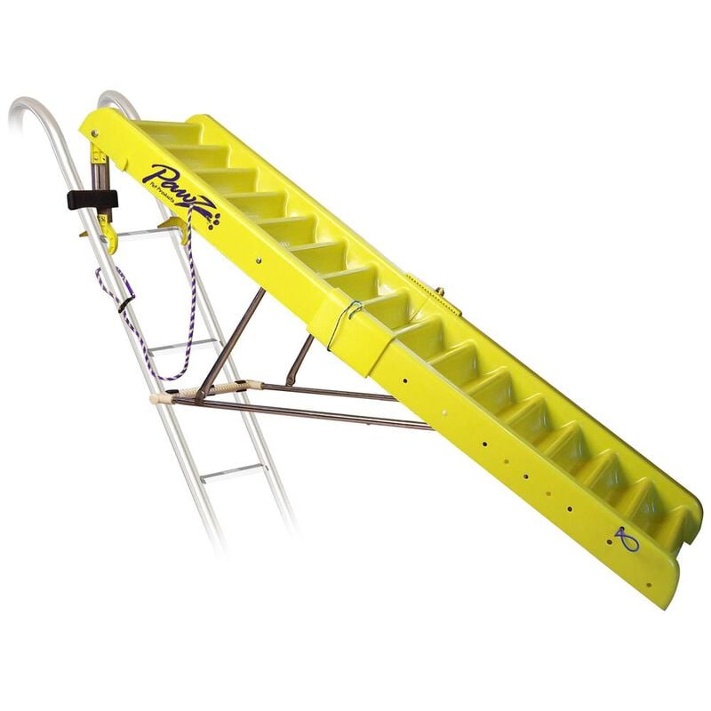 Pawz Dog Boarding Ladder image number 1