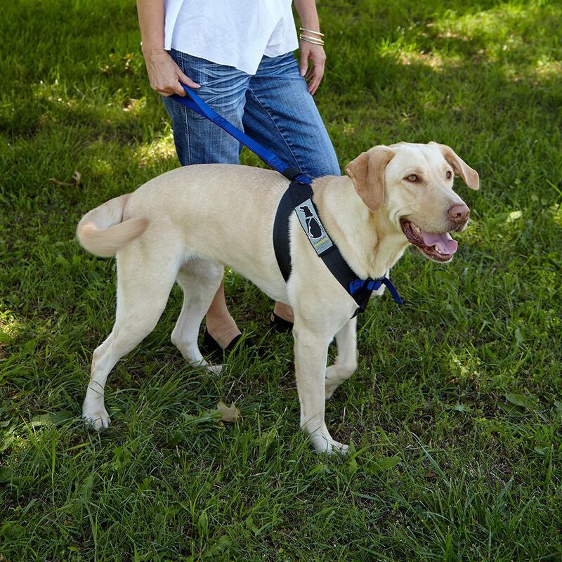 Pink Canine Travel Safe Harness, Large image number 8