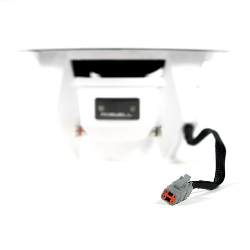 Roswell R1 Series 10" Subwoofer image number 4