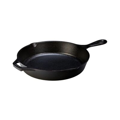 Lodge Cast Iron Seasoned 10.25" Skillet with Assist Handle
