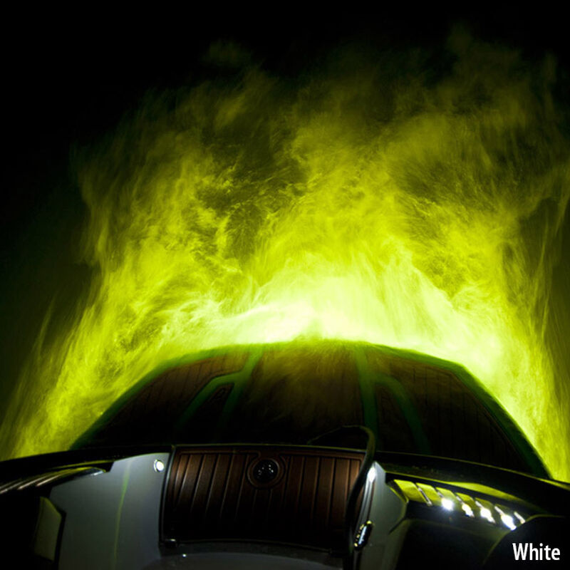 Roswell 6" Nightwater Pro Underwater Light image number 8