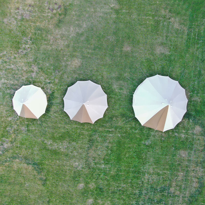 TETON Sports Sierra 12 Canvas Tent image number 7