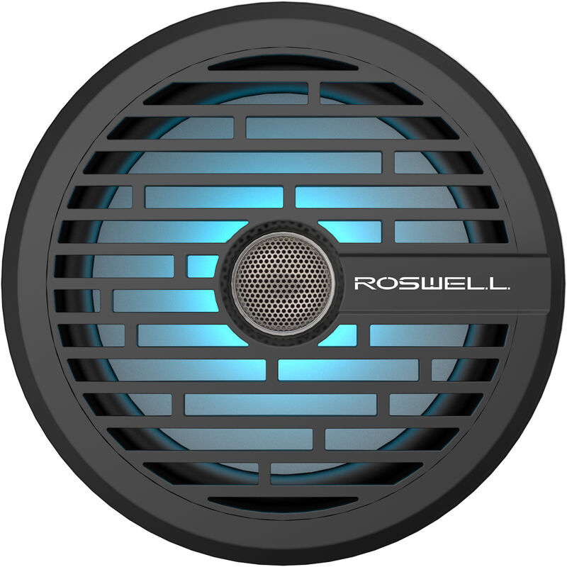 Roswell R1 8" In-Boat Speaker image number 1