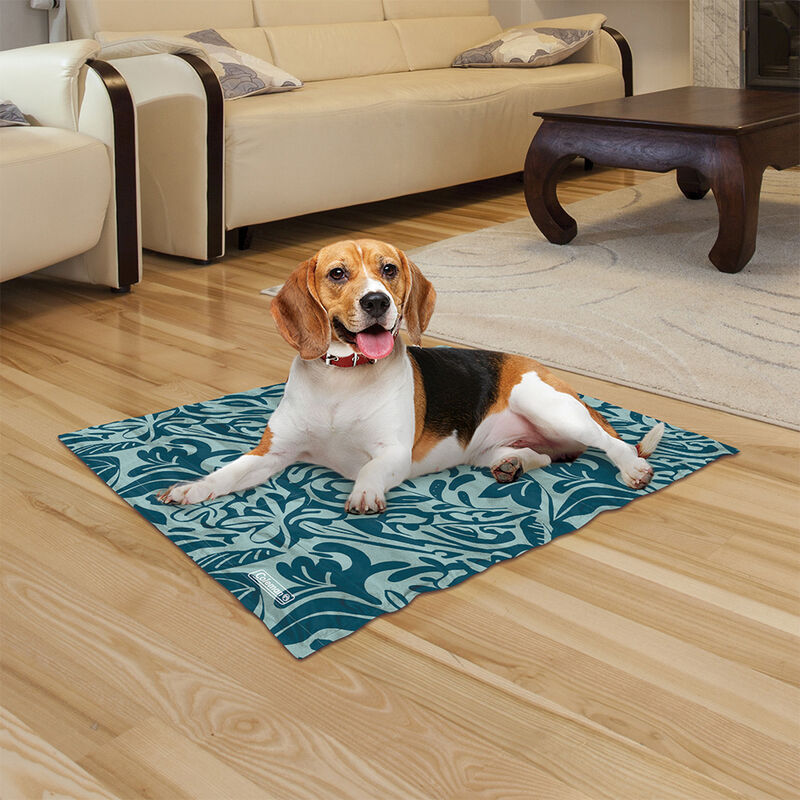 Coleman Small Reversible Cooling Mat, 18" x 24" image number 4