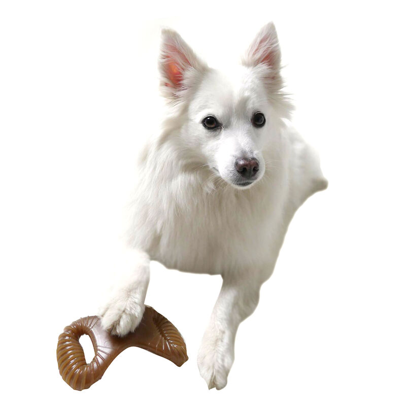 Benebone Dental Chew Toy, Bacon, Medium image number 3