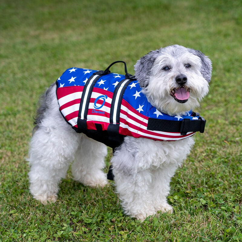 Overton's Patriotic Pet Vest image number 1