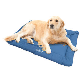 Coleman Roll-Up Travel Dog Bed, Blue