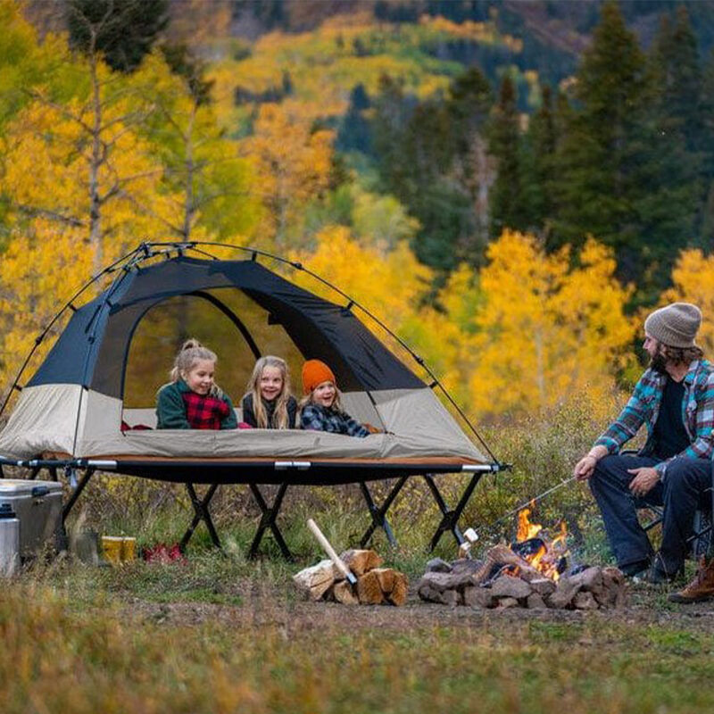 TETON Sports Vista 2-Person Quick Tent, Brown image number 4