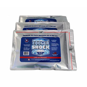 Cooler Shock Reusable Ice Packs, Large, 10&rdquo; x 14&rdquo; 