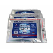 Cooler Shock Reusable Ice Packs, Large, 10” x 14” 
