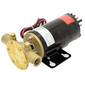 Johnson Pump 12V Ultra Wakeboard Ballast Pump
