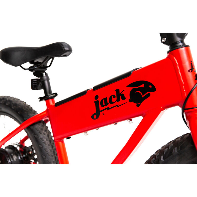 JackRabbit XG, The XL Micro eBike image number 39