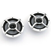 Roswell Elite Stainless Steel Coaxial Boat Speakers, Pair
