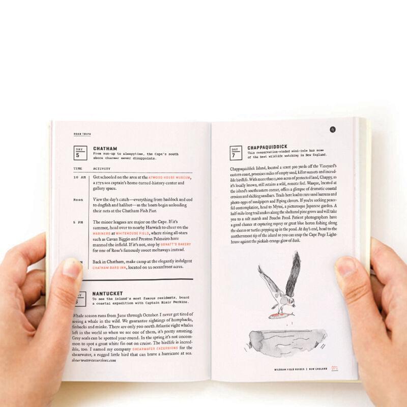 Wildsam Travel Guide - New England image number 2