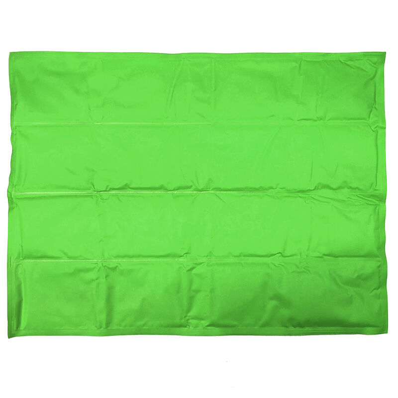 Coleman Unique Petz Small Reversible Cooling Mat, Green Botanical image number 2