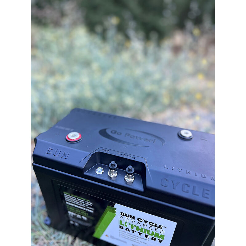 Dometic Go Power! Advanced 100Ah 12V Lithium Battery (GP-ADV-LIFEPO4-100) image number 6