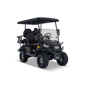 Kandi Kruiser 4-Person Element Golf Cart