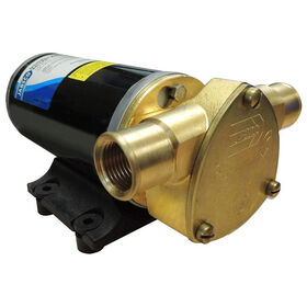 Jabsco 22610-9427 Ballast King Pump