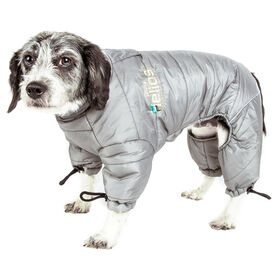 Helios Thunder-crackle Full-Body Waded-Plush Adjustable and 3M Reflective Dog Jacket, Grey X-Small