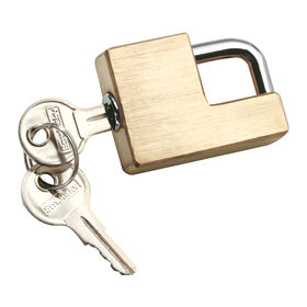 Reese Towpower Trailer Receiver/Coupler Lock