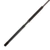 Penn Rampage Boat Casting/Spinning Rod