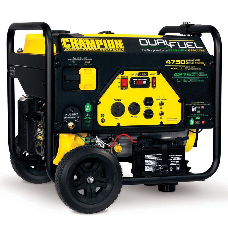 Champion 3800 Watt Dual Fuel Portable Generator image number 1