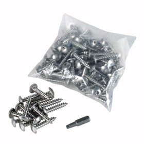 Stainless Steel Mounting Screws