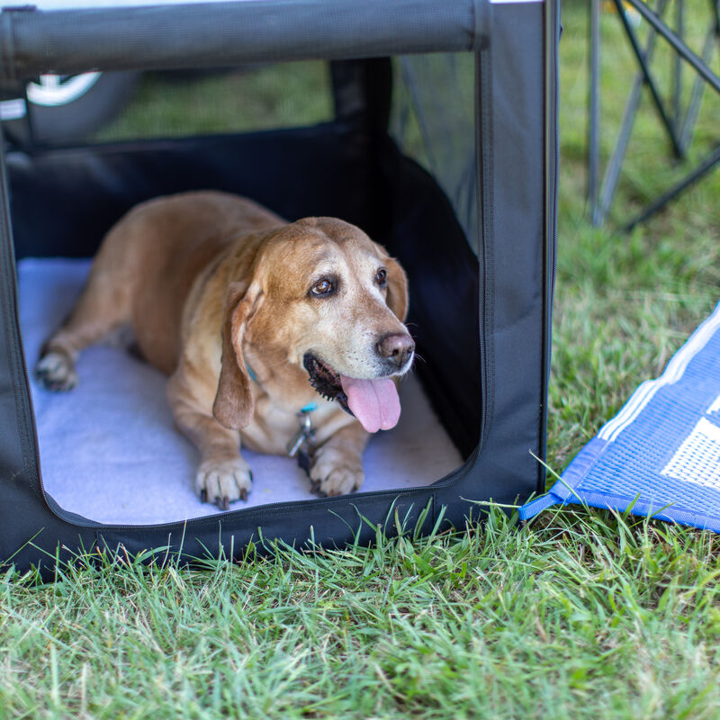 Lippert Collapsible Soft Pet Crate - Large, Black/Grey image number 10