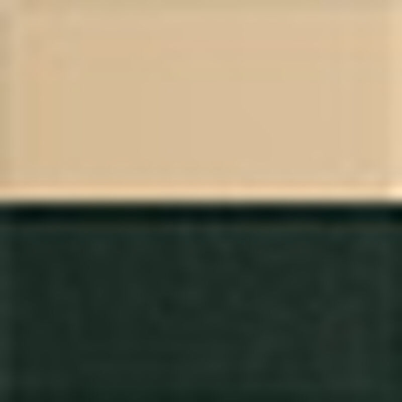 Wise Molded Fold-Down Fishing Seat with Padding in Green/Sand/Green Shell image number 3