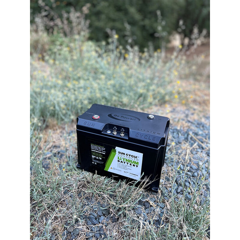Dometic Go Power! Advanced 100Ah 12V Lithium Battery (GP-ADV-LIFEPO4-100) image number 5