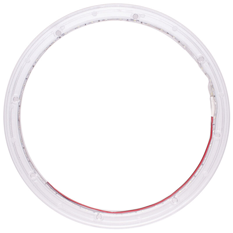 Roswell 12" Elite Subwoofer LED Night Ring image number 2