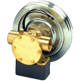 Johnson Pump F7B-50017 Flexible Impeller Engine Driven Pump