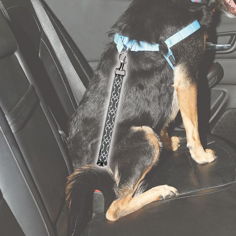 Pet Seat Belt Tether image number 3
