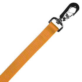 Scott Pet Orange Lead Double Ply, 1" x 48"