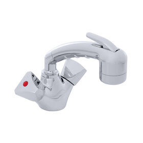 Ambassador Marine Trinidad Head/Shower Combo Faucet with Small Marine Sprayer
